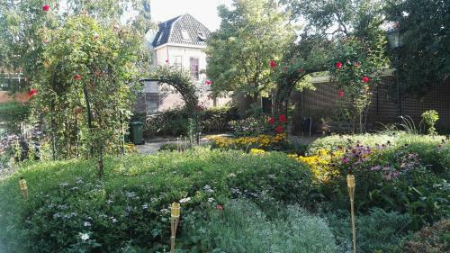 Bed & Breakfast De Juttershoek Centrum