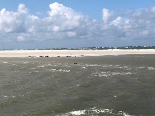 Apartamento Appartement Waddengeluk Resort Amelander Kaap!