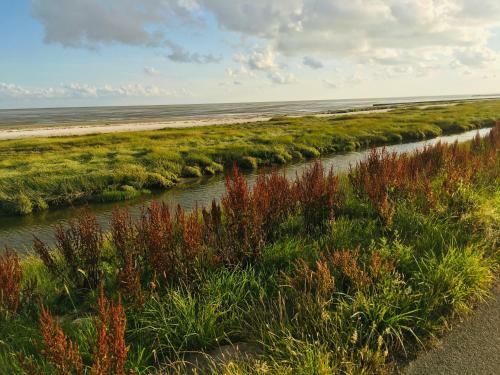Agroturismo Meeuw