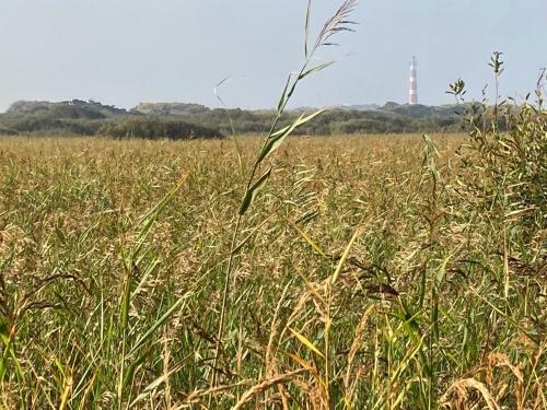 Agroturismo Meeuw