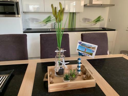 Apartamento Appartement Het Stolpje