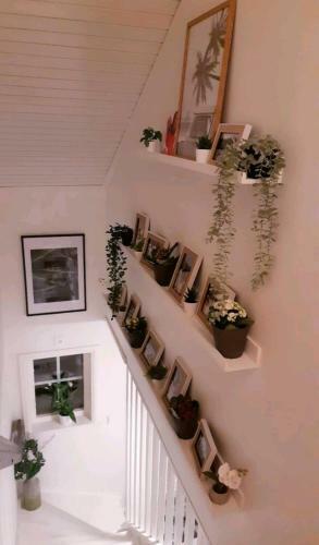 Villa Tree Of Life