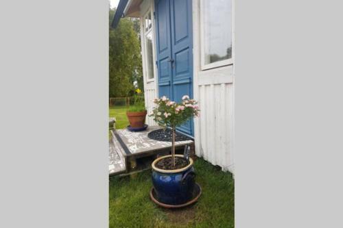Loftstuga I S�fsen