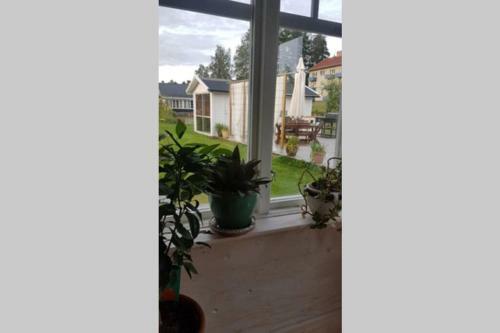Loftstuga I S�fsen