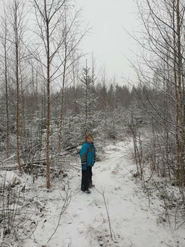 Stuga Ros Naturcamping Lagom