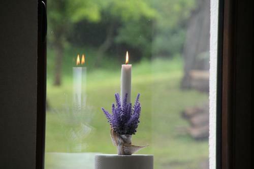Hostal Pensiunea Energy