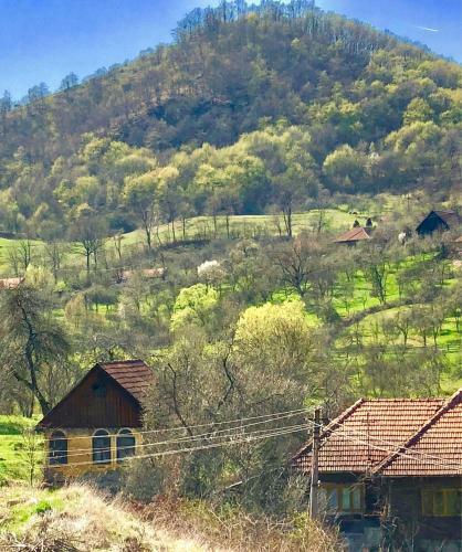 Pensiunea La Buru
