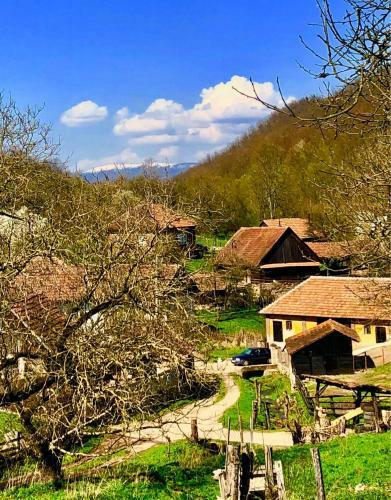 Pensiunea La Buru