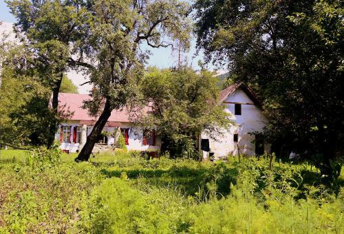 Casa Memoriala George Stephanescu