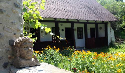 Casa Memoriala George Stephanescu