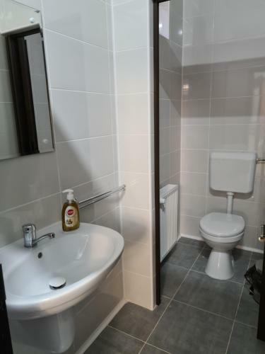 Hostal Pensiunea Maya