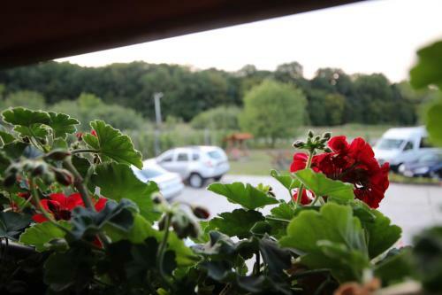 Bed & Breakfast Panorama