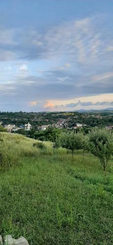 Bed & Breakfast Panorama