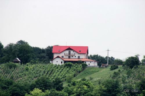 Bed & Breakfast Panorama