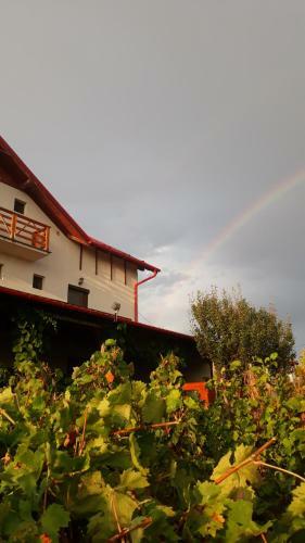 Bed & Breakfast Panorama