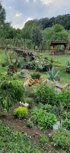 Bed & Breakfast Panorama