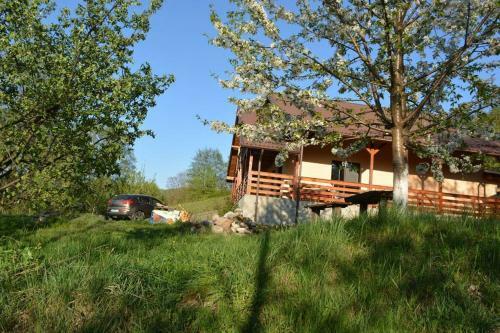 Villa House In The Forest