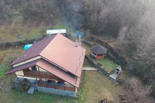 Villa House In The Forest