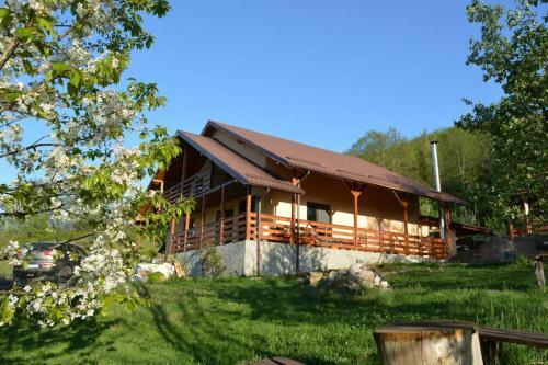 Villa House In The Forest