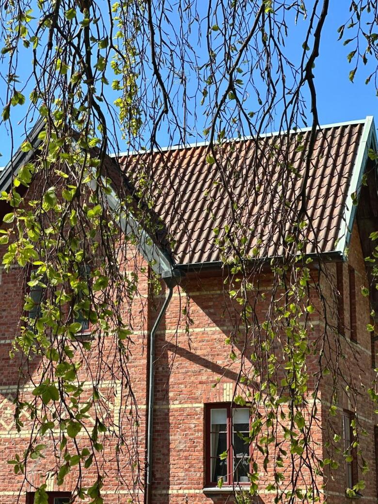 Apartamento Wow, F�reningsgatan 9