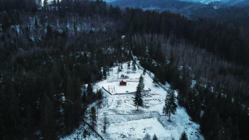 Roua Muntelui