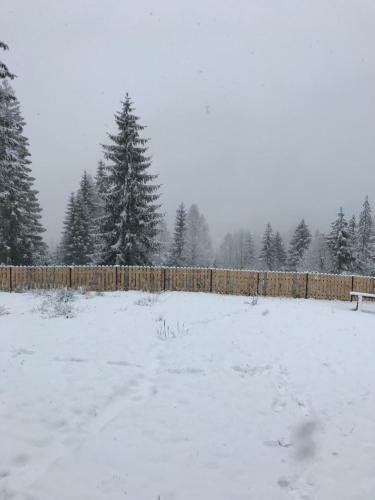 Roua Muntelui