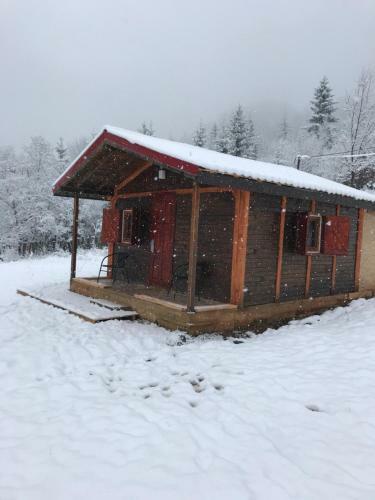 Roua Muntelui