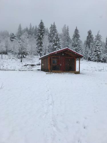 Roua Muntelui