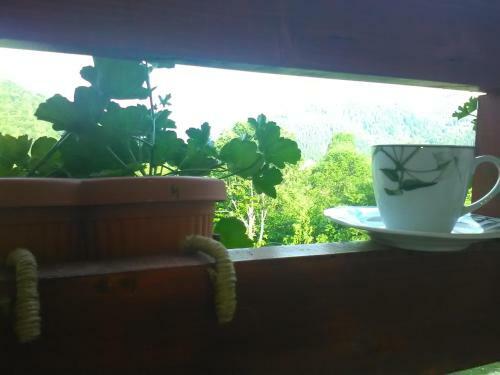 Hostal Casa Cu Muscate