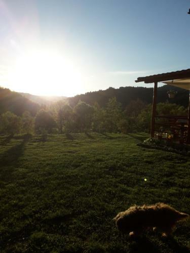Hostal Casa Cu Muscate
