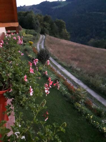 Hostal Casa Cu Muscate