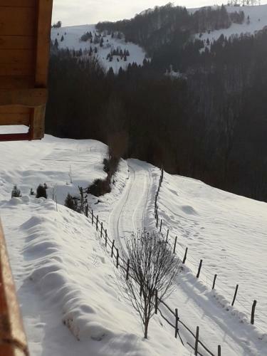 Hostal Casa Cu Muscate