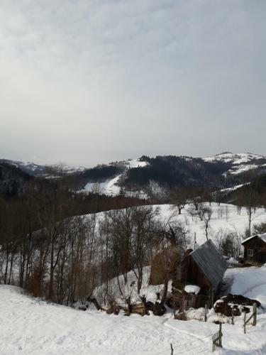Hostal Casa Cu Muscate