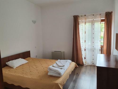 Hotel Pensiunea Anais