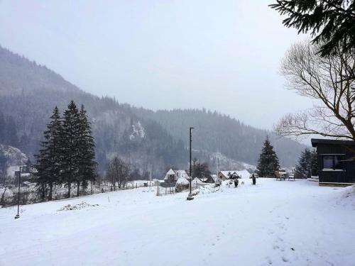 Panoramic Cabin St�nceni