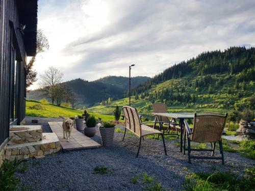 Panoramic Cabin St�nceni