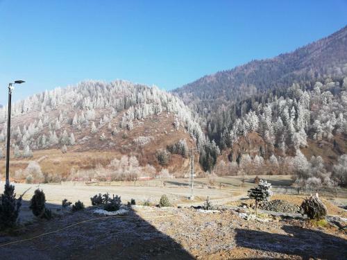 Panoramic Cabin St�nceni