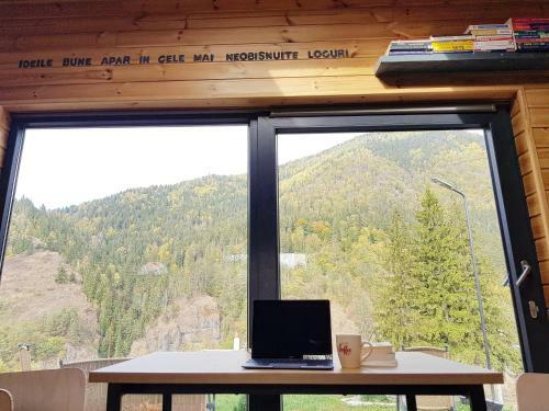 Panoramic Cabin St�nceni