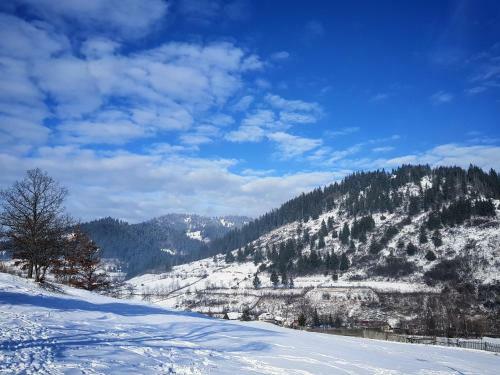 Panoramic Cabin St�nceni
