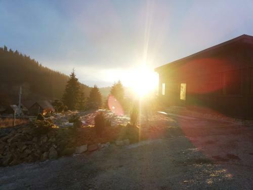 Panoramic Cabin St�nceni