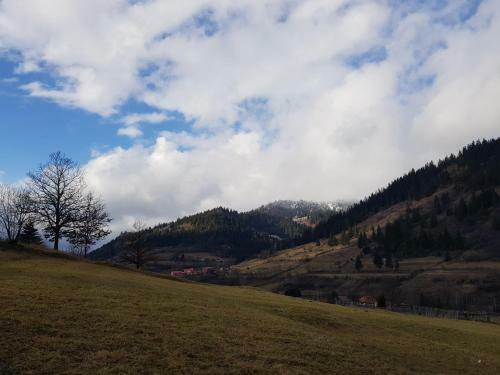 Panoramic Cabin St�nceni