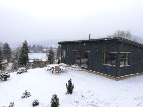 Panoramic Cabin St�nceni