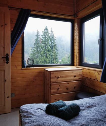 Panoramic Cabin St�nceni