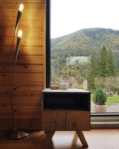 Panoramic Cabin St�nceni