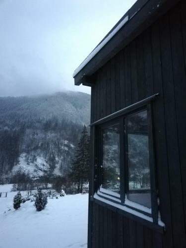 Panoramic Cabin St�nceni