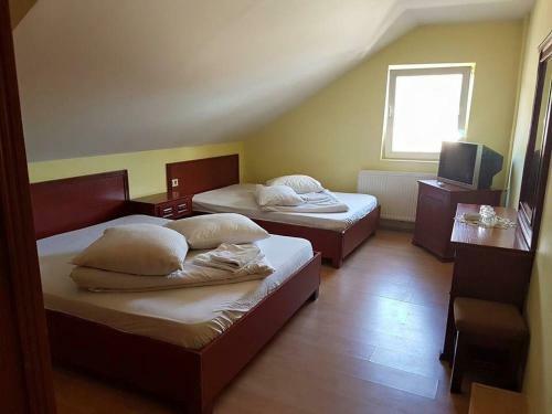 Hotel Pensiunea Balea