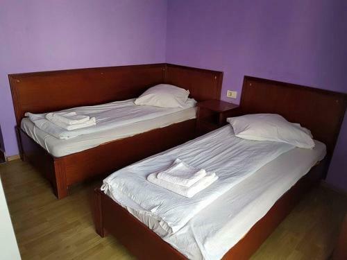 Hotel Pensiunea Balea