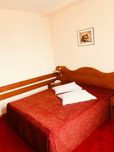 Hotel Muntenia