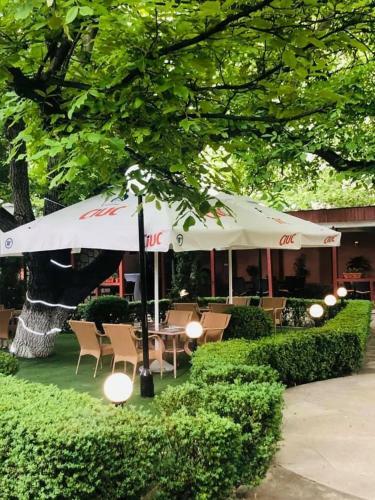 Hotel Muntenia