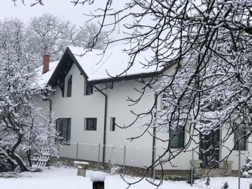 Villa Pensiunea Cre?i?oara